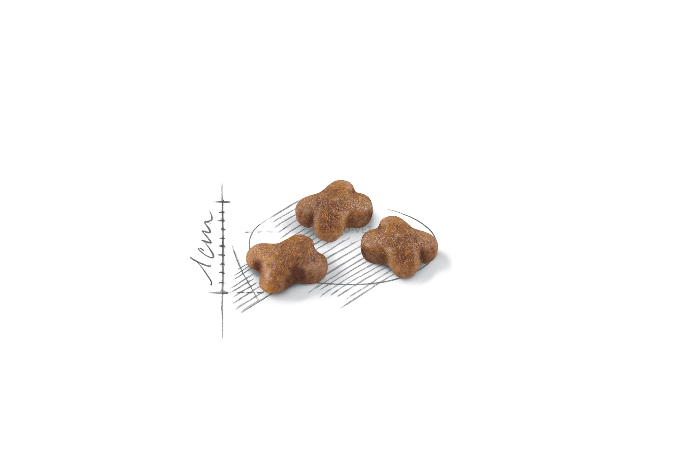 Royal canin second age kitten 10 kg new arrivals